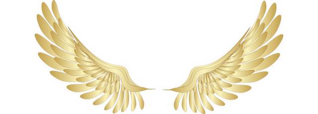 金色天使翅膀