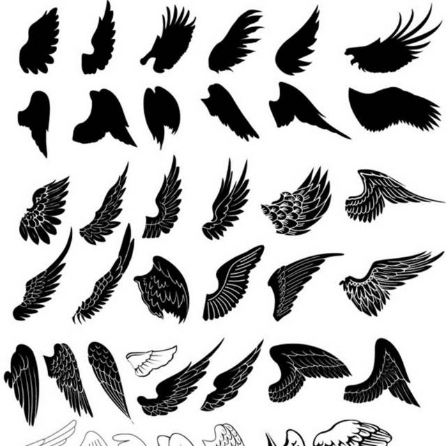 多种黑色翅膀
