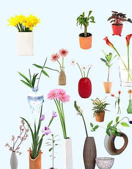 多个手绘花瓶_图品汇