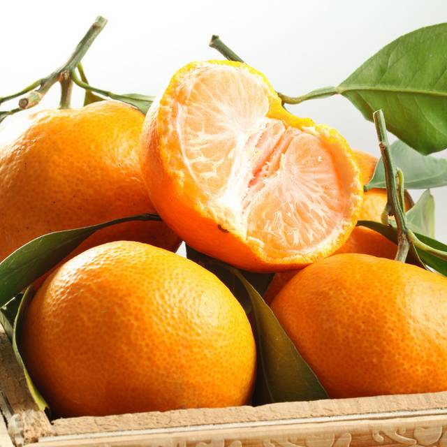 橘子高清图片元素