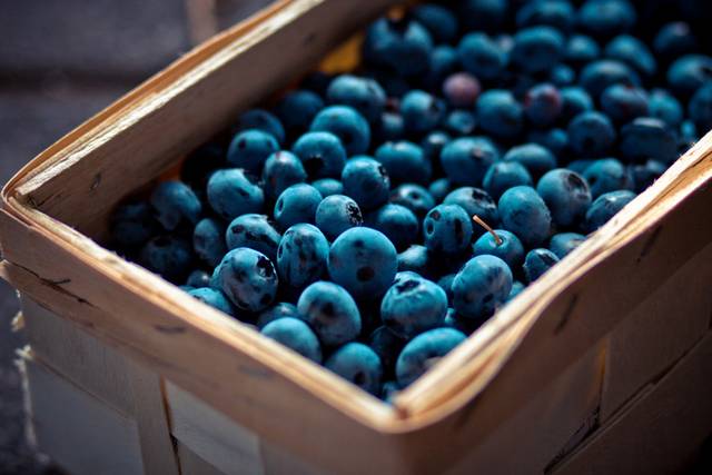 托盘里的蓝莓