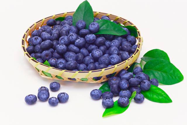 蓝莓免抠元素