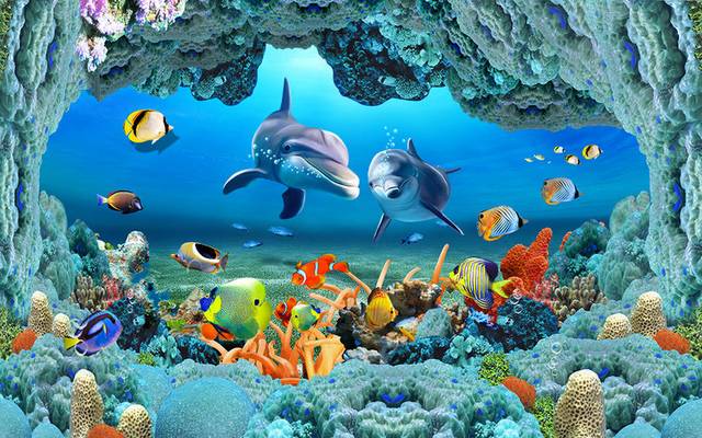 海底世界海豚和其他小动物