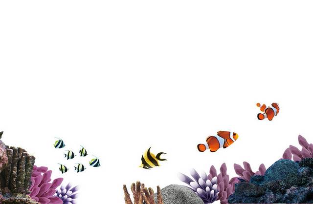 海底世界鱼群和珊瑚
