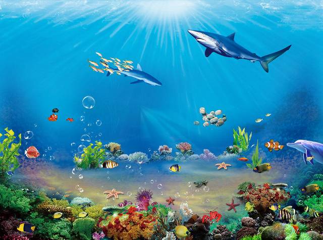 海底世界动植物素材