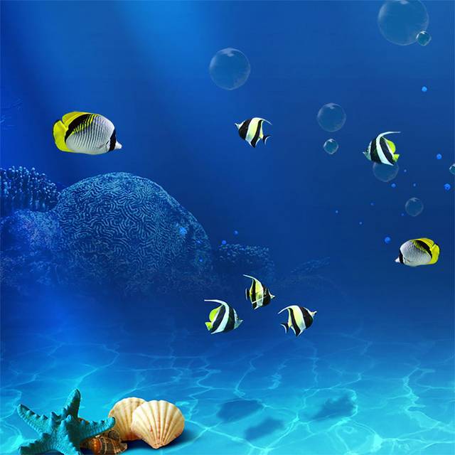 海底世界小丑鱼