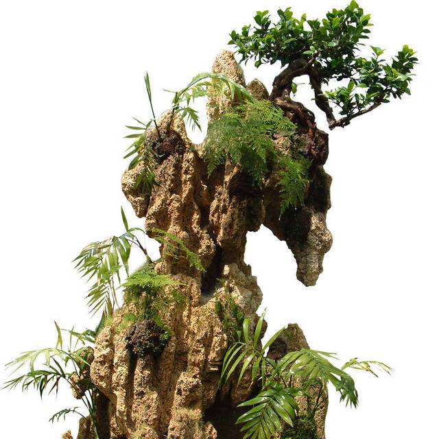 假山树木素材