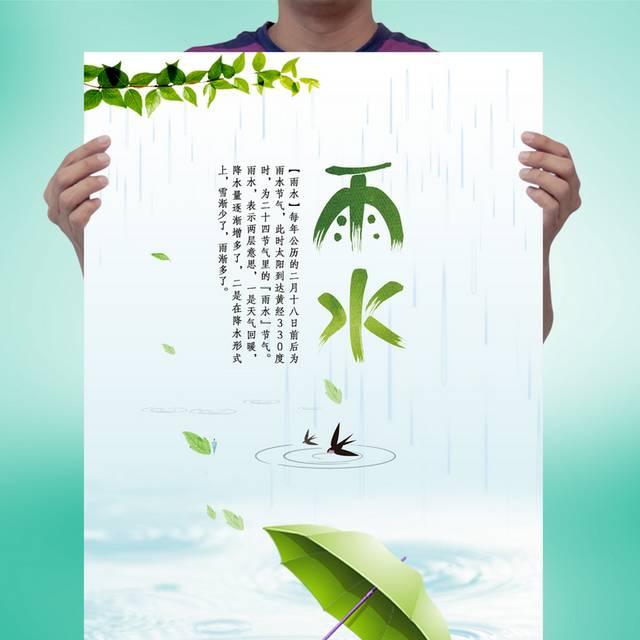 精美小清新24节气雨水海报