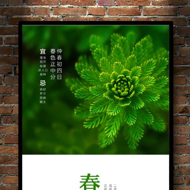 春分节气海报下载