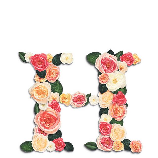 鲜花字母H