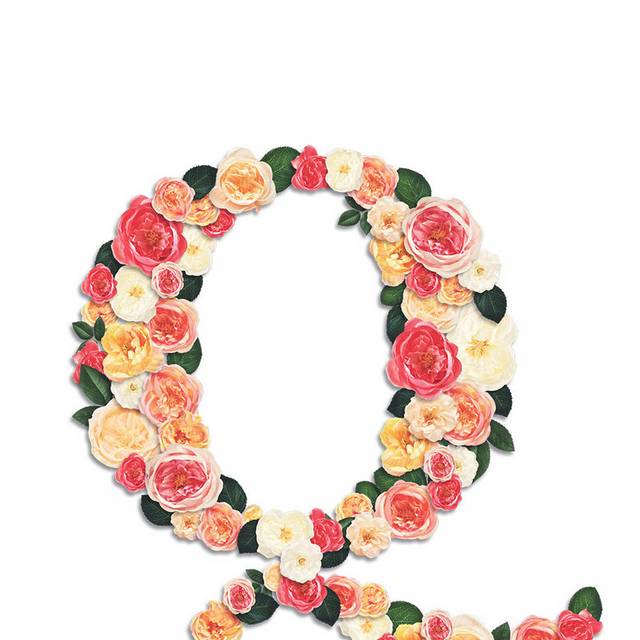 鲜花字母Q
