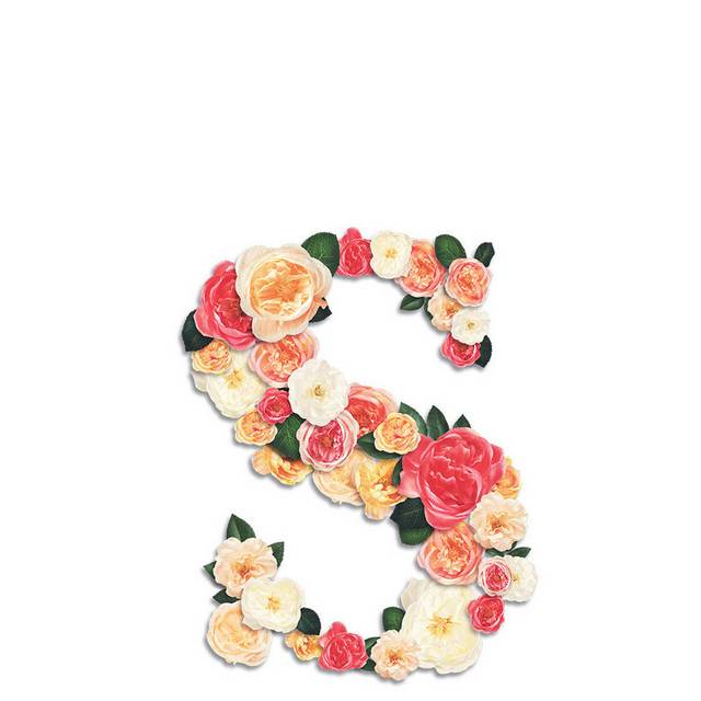 鲜花字母S