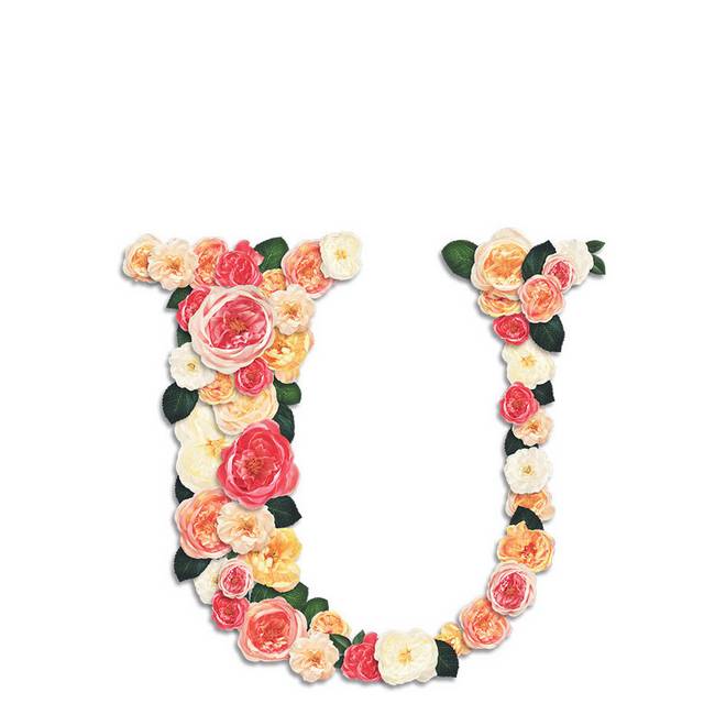 鲜花字母U