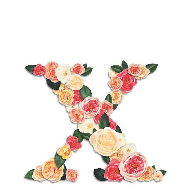 鲜花字母X