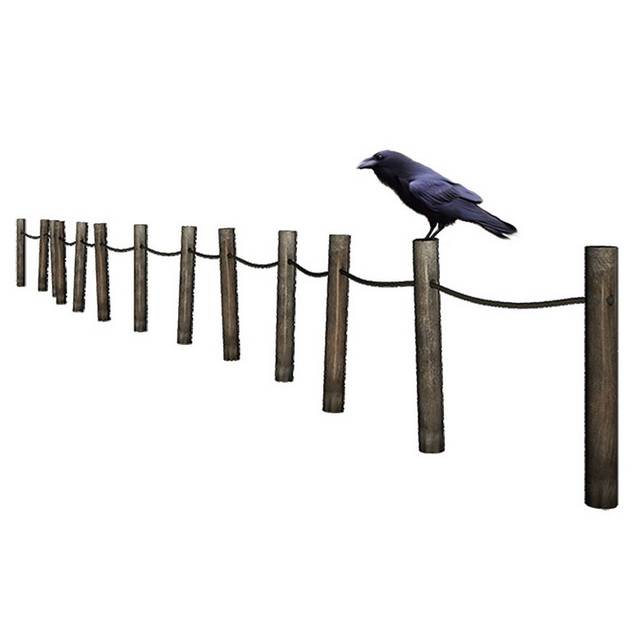 围栏和小鸟素材