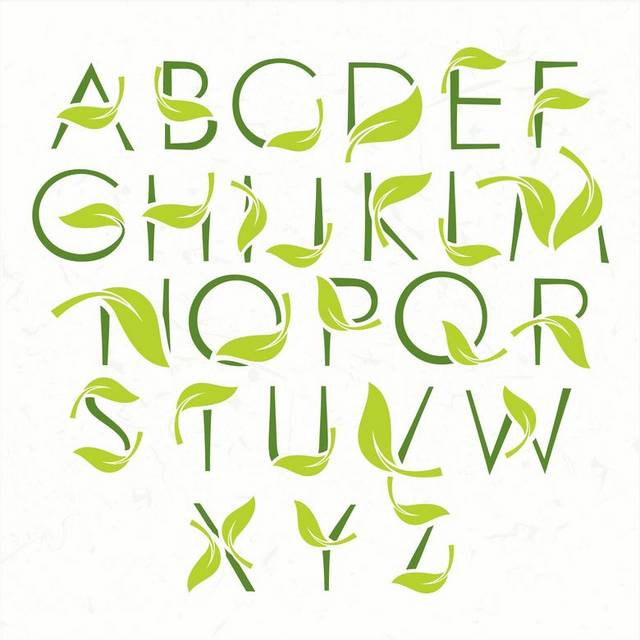 简约绿叶字母