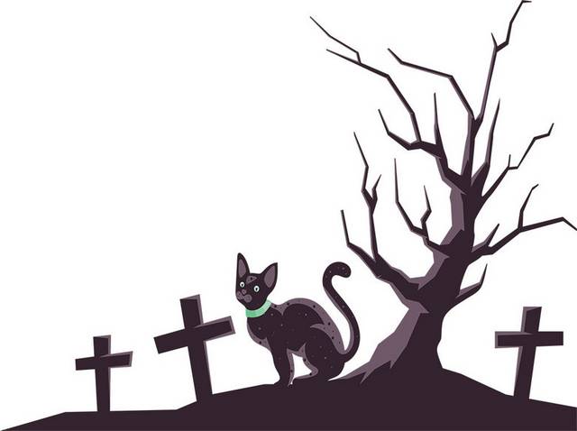 万圣节墓地和猫素材