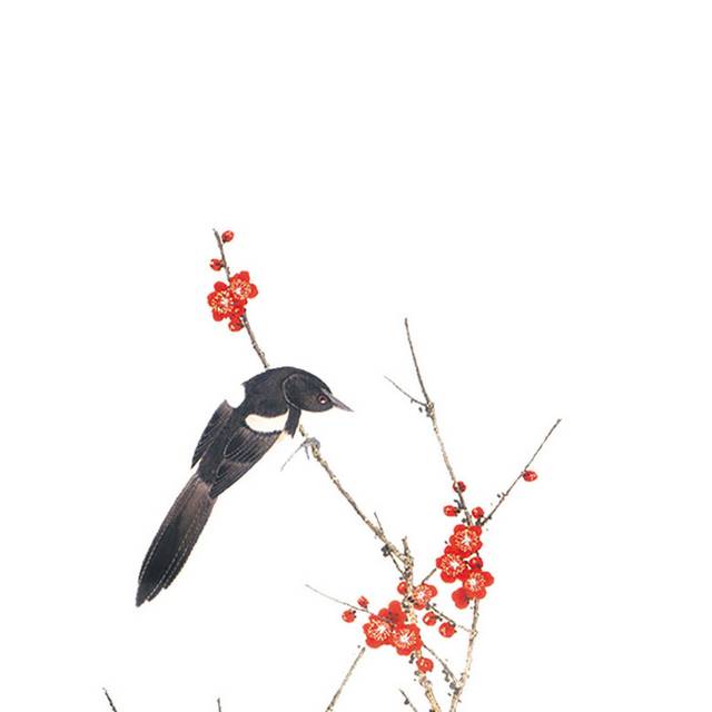 手绘喜鹊插画元素