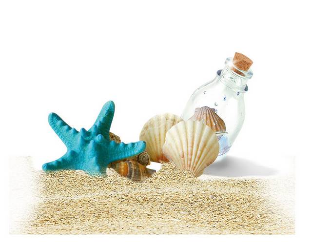 沙滩上的海星和漂流瓶