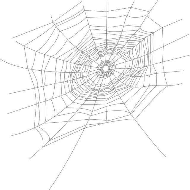 线稿蜘蛛网