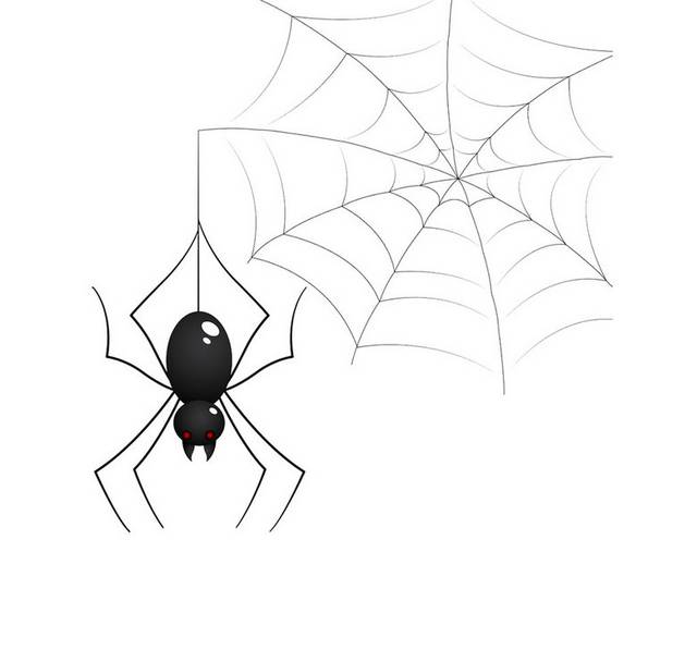 蜘蛛网和蜘蛛