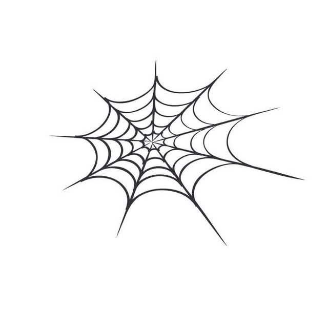 一张蜘蛛网
