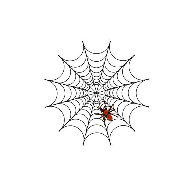 蜘蛛网和蜘蛛素材