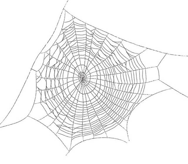 一块蜘蛛网素材
