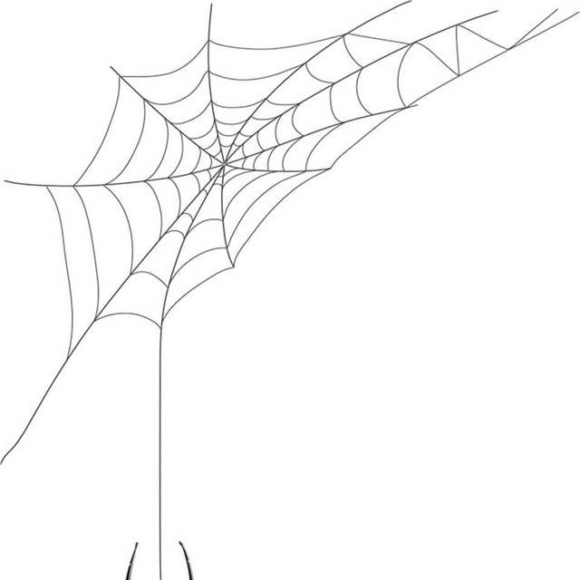 蜘蛛网和蜘蛛素材下载