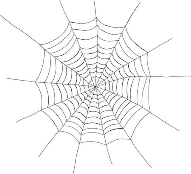 手绘蜘蛛网设计元素下载