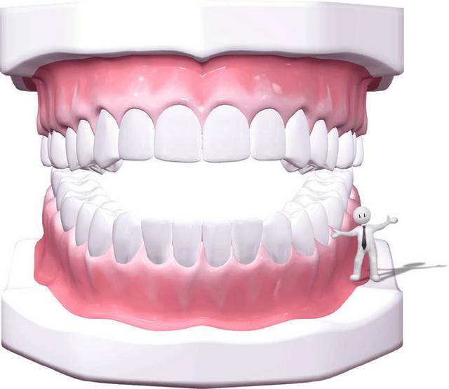 上下牙素材