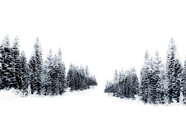 雪地树林素材