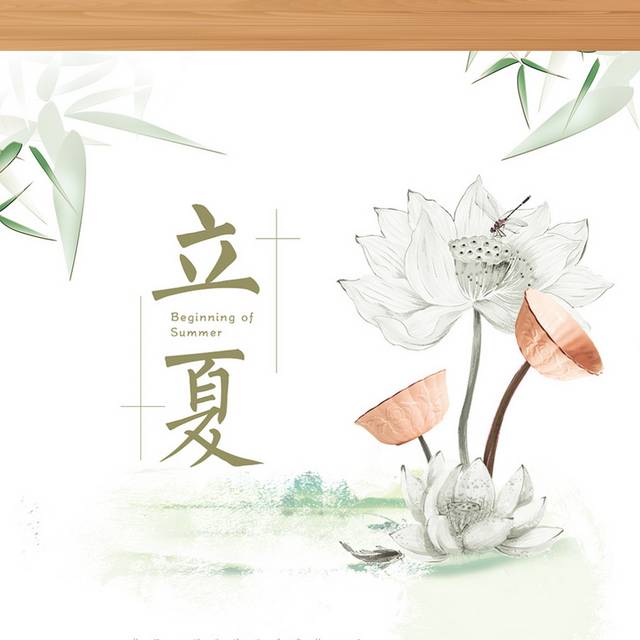 简雅中国风立夏节气海报
