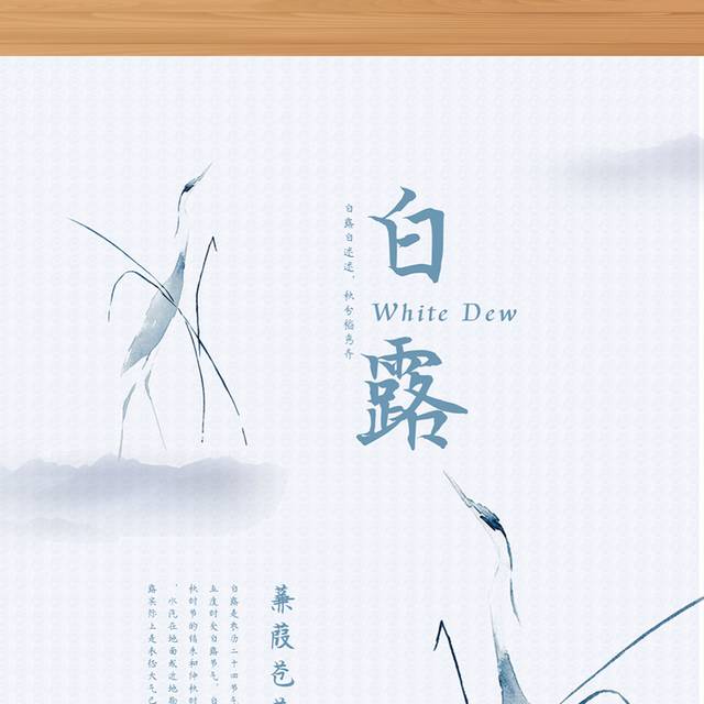 极简优雅白露节气海报