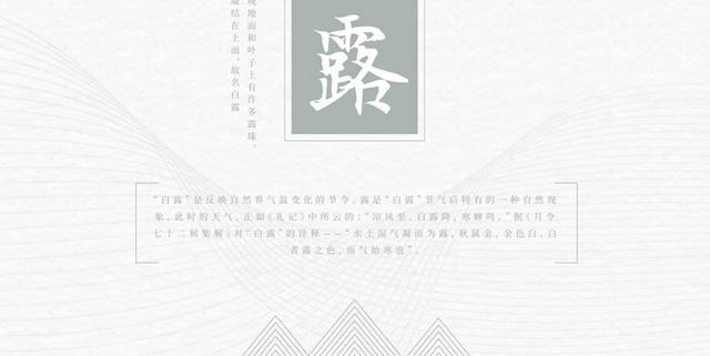 极简中国风白露节气海报
