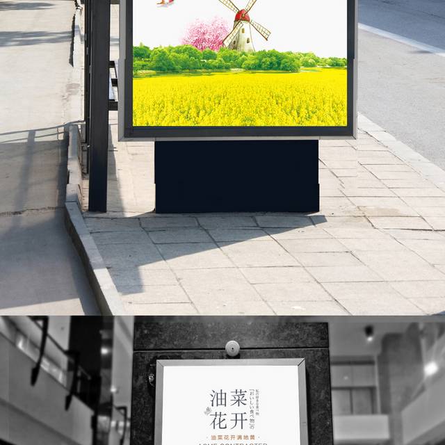 油菜花开季海报