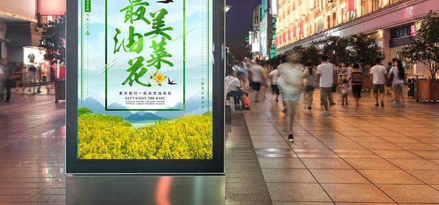 小清新春暖花开油菜花旅行社春季海报