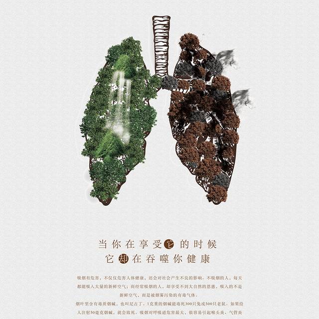 简雅创意吸烟有害健康公益选拆包