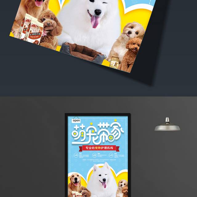 可爱卡通撞色风格宠物带回家海报宠物店海报