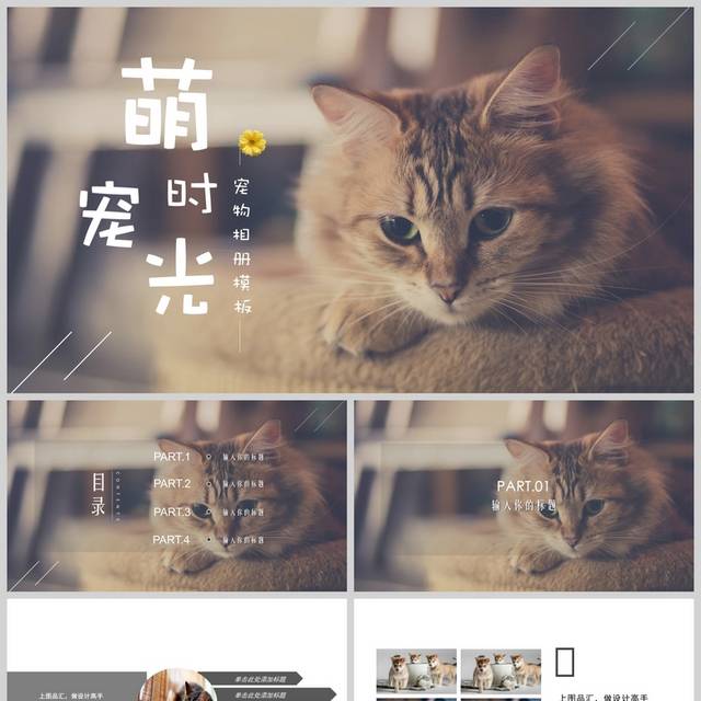 宠物相册ppt