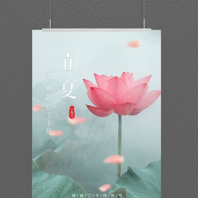 唯美立夏荷花海报设计
