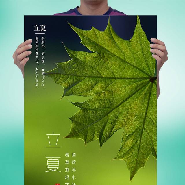 清新绿叶立夏节气宣传海报