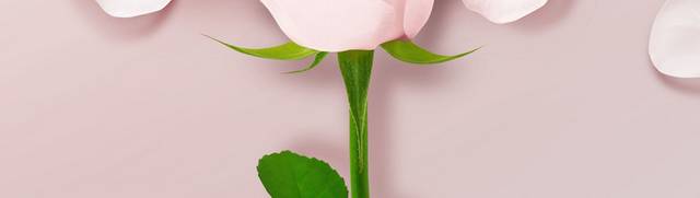 粉色小清新花卉促销背景设计
