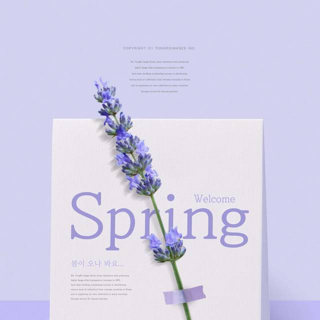 紫色春季背景素材