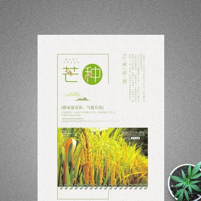 中国风创意芒种节气海报