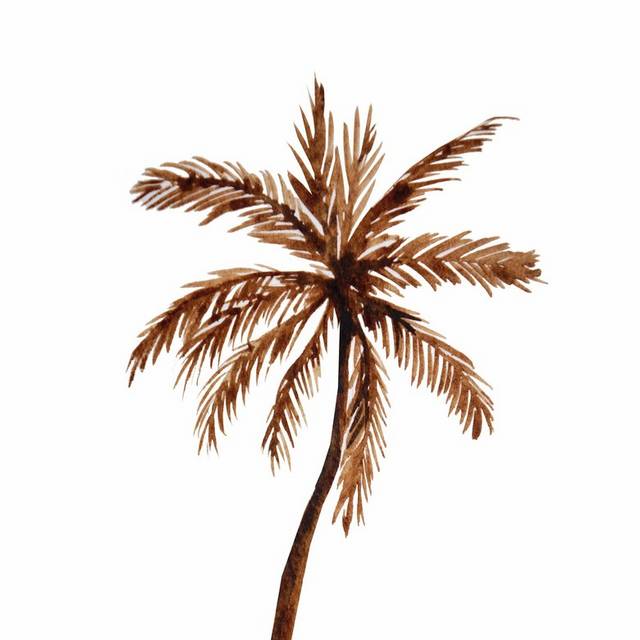 手绘椰子树元素