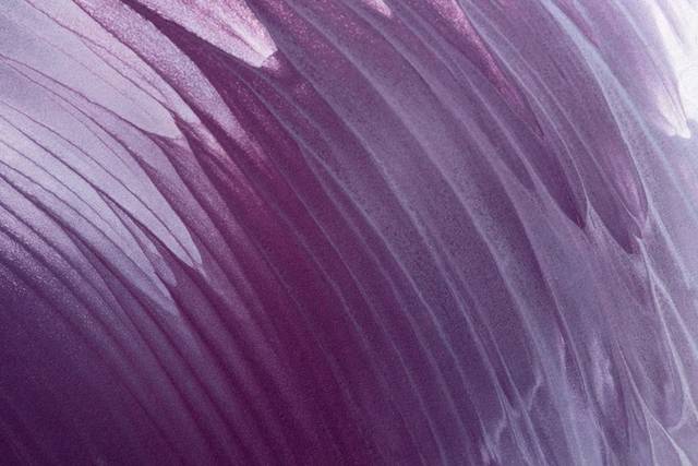紫色水彩素材背景模板