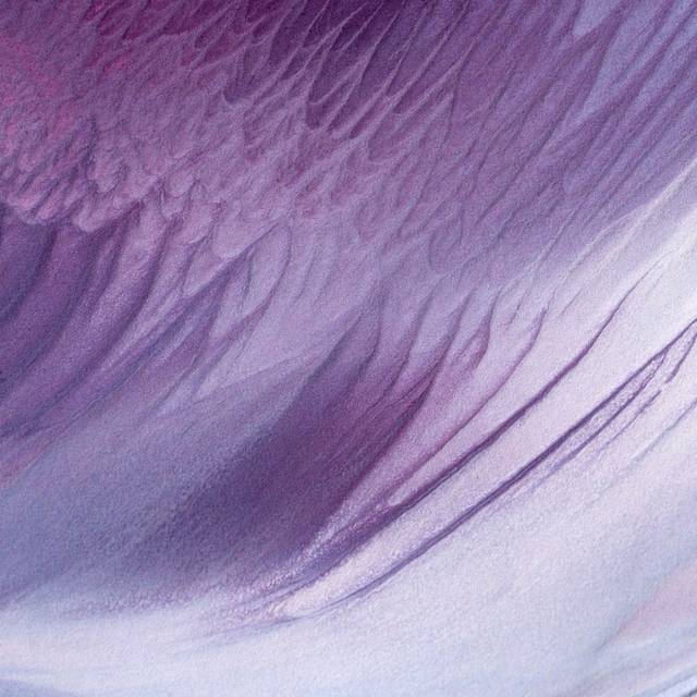 深紫色水彩素材背景