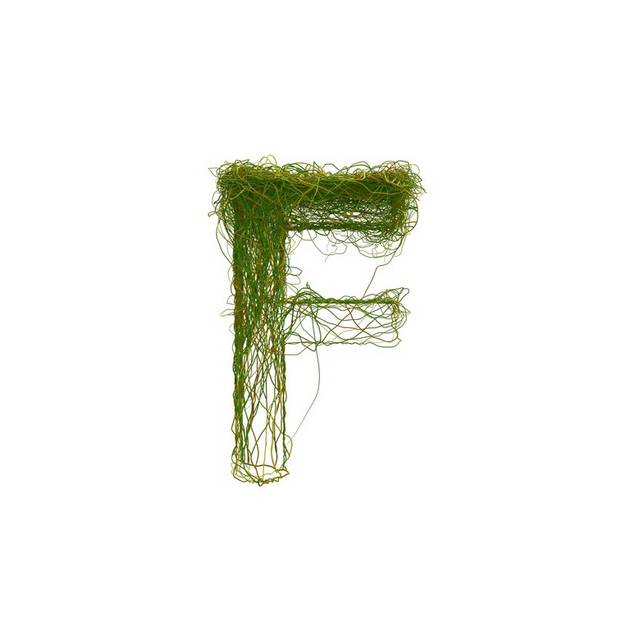 绿色字母F