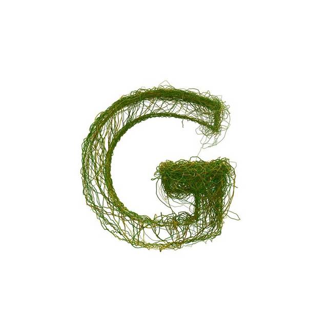绿色字母G